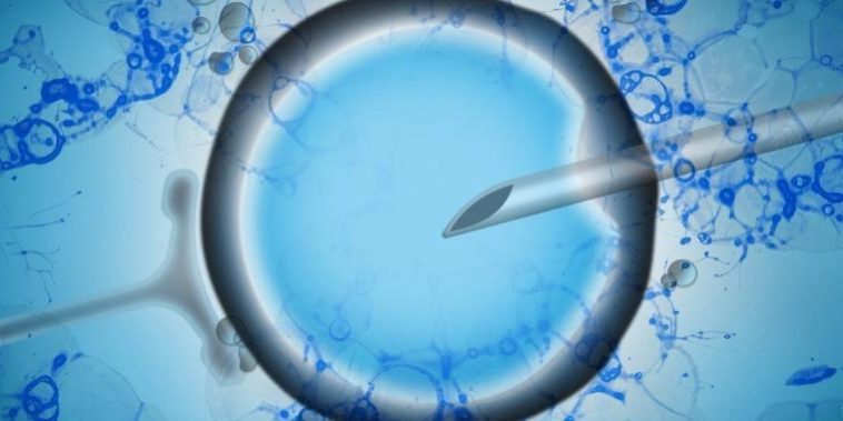 reproducao-assistida-infertilidade-1624295549103_v2_900x506