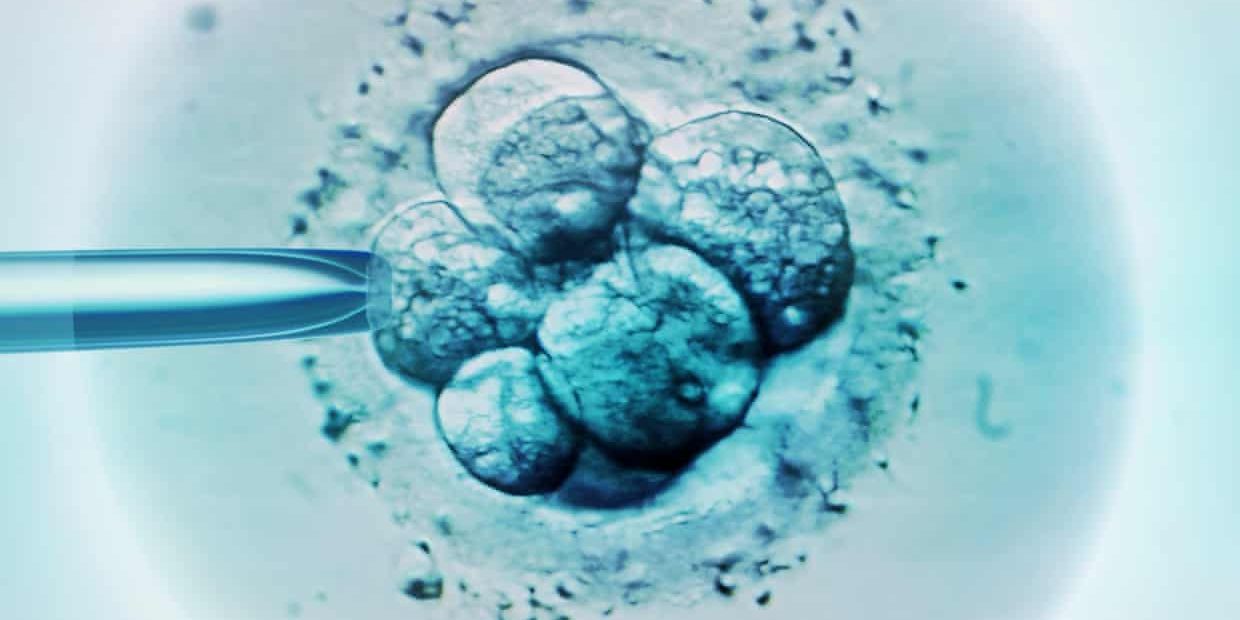 biopsia-embrionaria-fiv