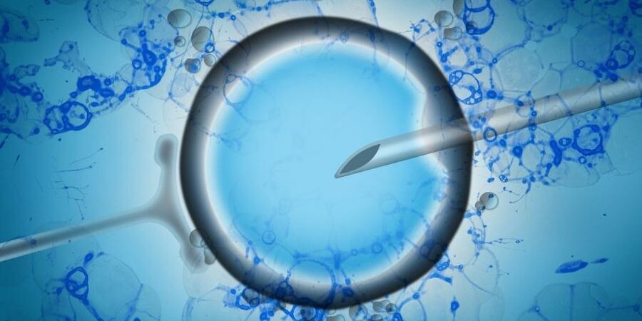 reproducao-assistida-infertilidade-1624295549103_v2_900x506