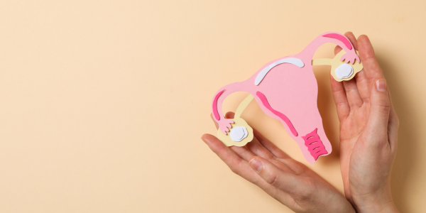 CITI Hinode – texto – maio 2024